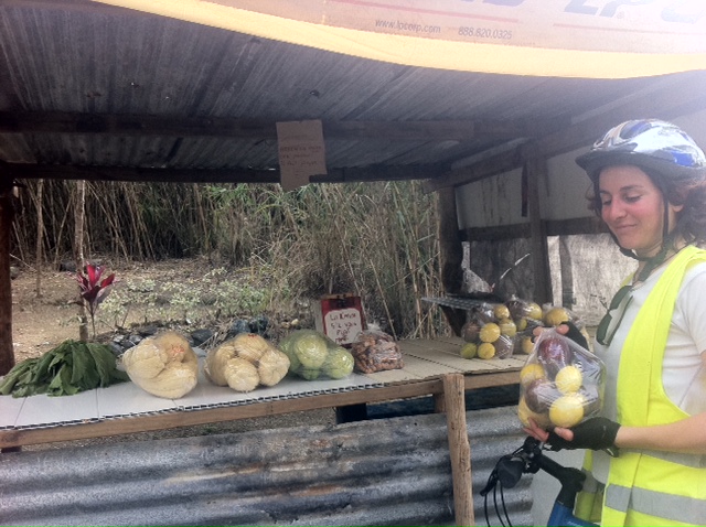  8 August 2011 à 13h58 - Vente de fruits et légumes au bord de la route. On se sert et on paye dans une boîte.